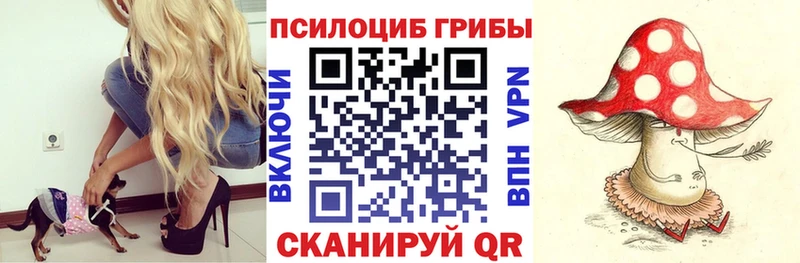 Купить  Кисловодск  Псилоцибиновые грибы Cubensis 