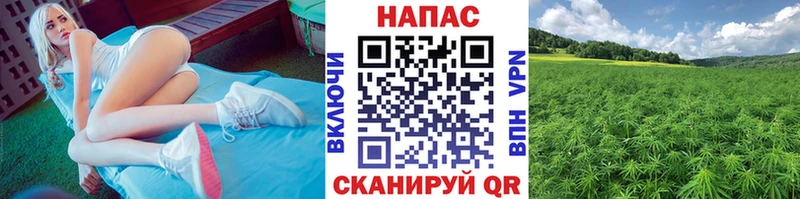 Купить закладки  Кисловодск  Марихуана Ganja 